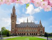 the Peace Palace in The Hague