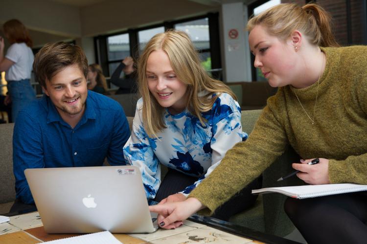 Bibliotek- og dokumentasjonsvitenskap - årsstudium