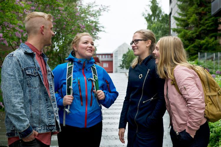 Medie- og dokumentasjonsvitenskap - bachelor