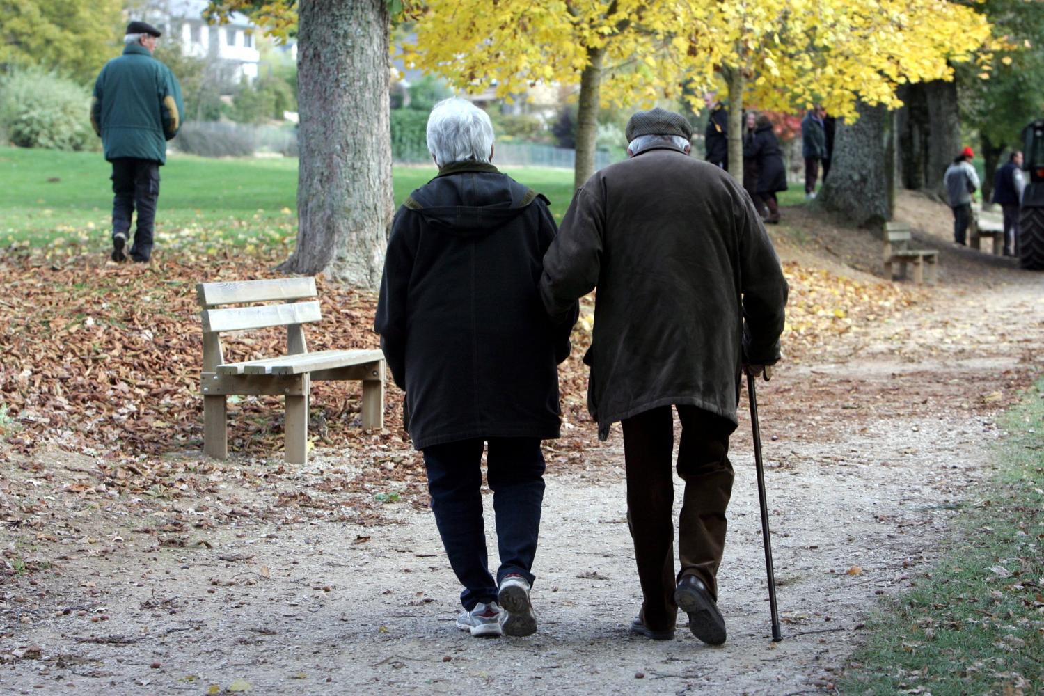 Eldre ektepar går tur i parken