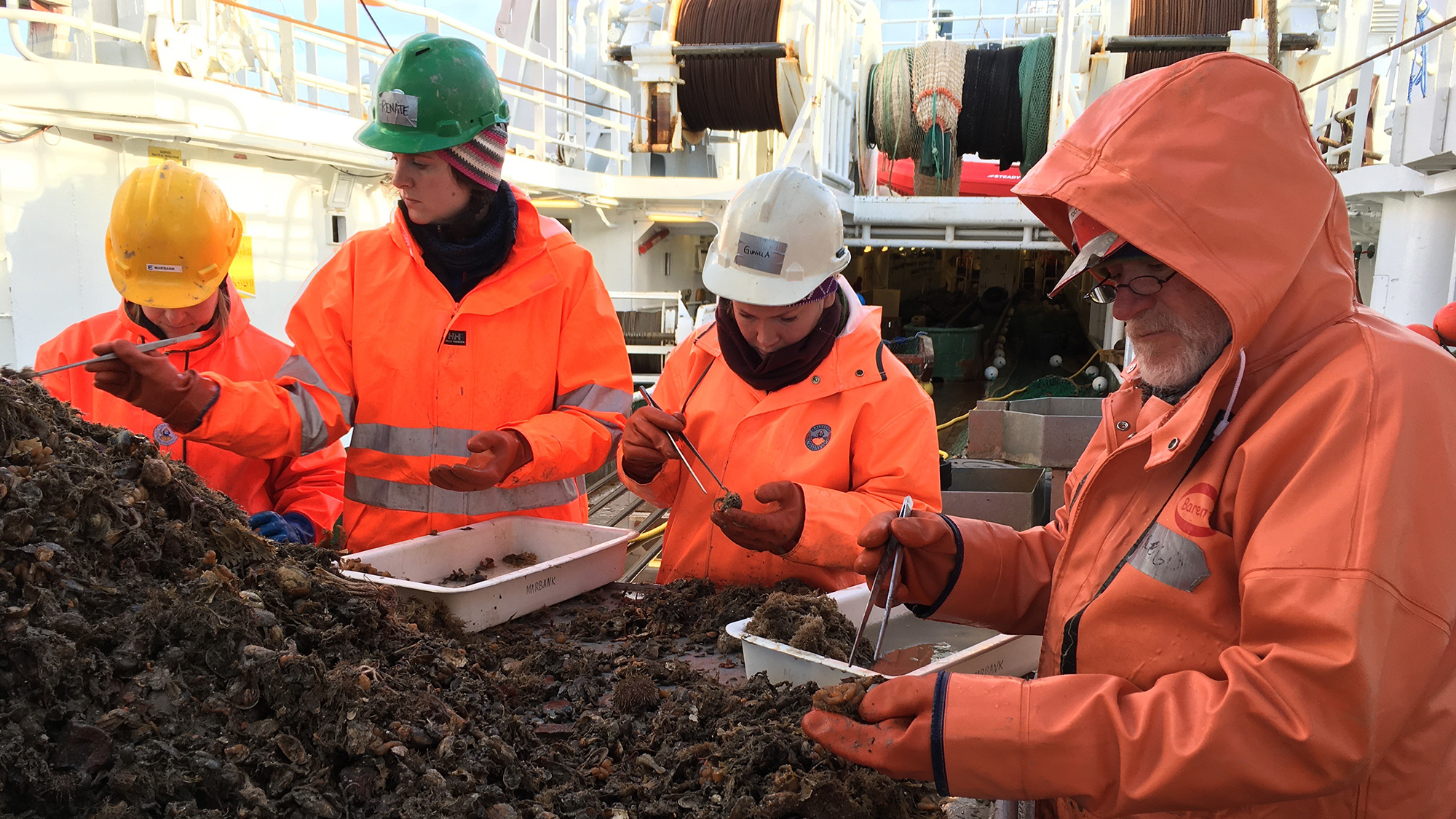 Store mengder biologisk materiale ble samlet opp fra havbunnen og sortert under et tokt ved Bjørnøya.