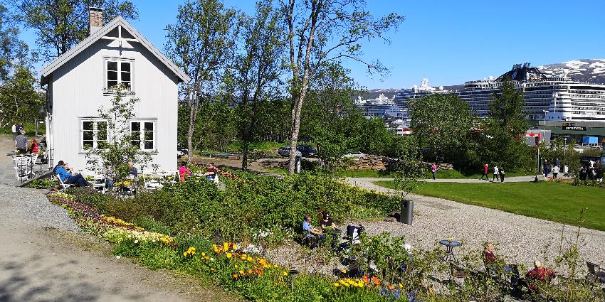 Image Tromsø arktisk-alpine botaniske hage