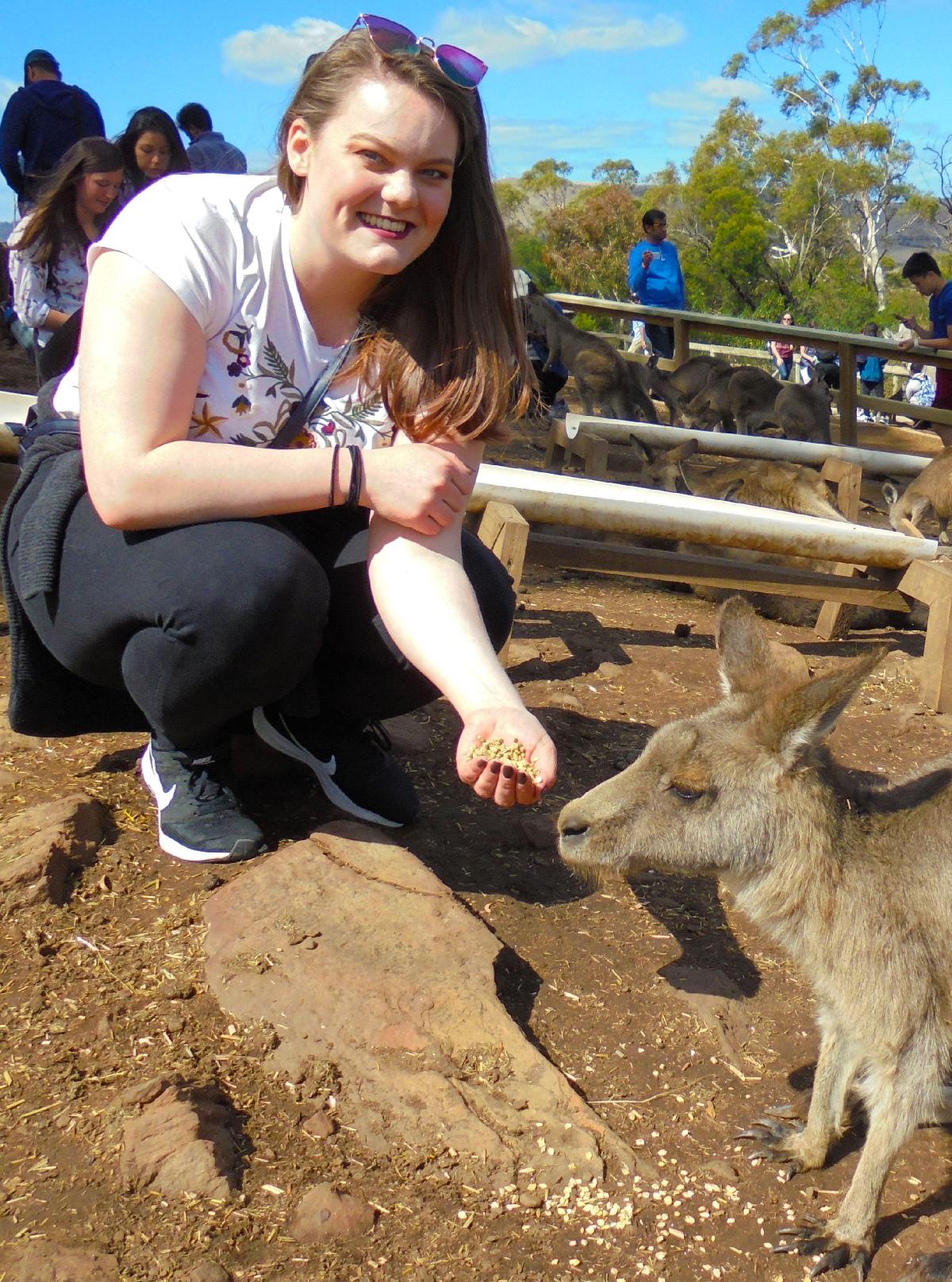 Dame mater en kenguru
