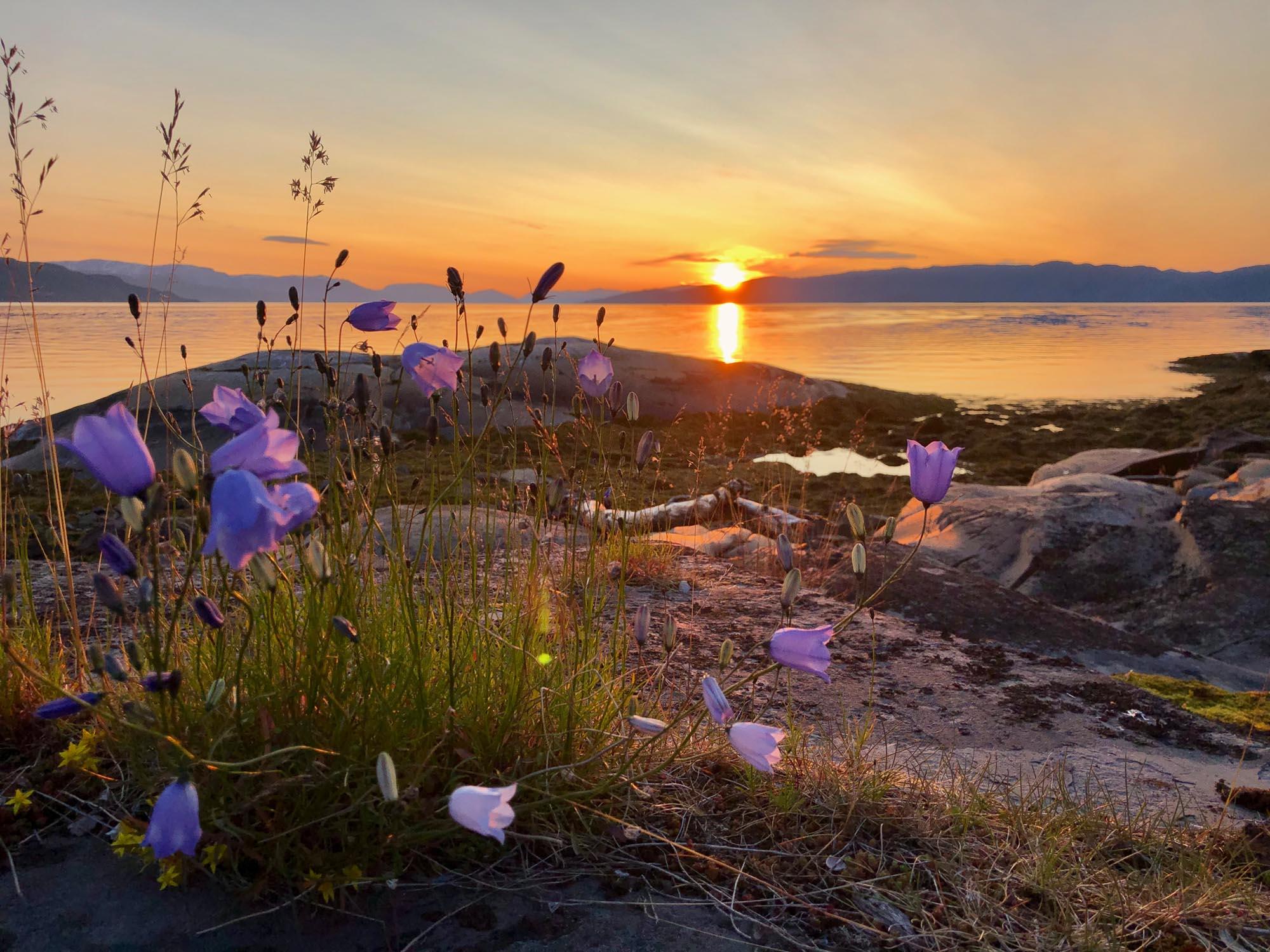 Illustrasjons-/bannerbilde for Tolvte nordiske dialektologkonferansen
