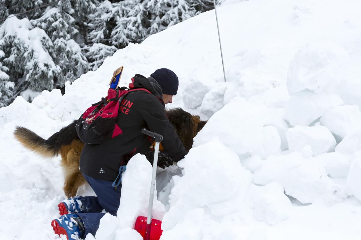 Mann og hund graver i snøskred