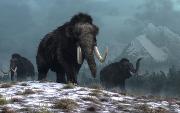 IMAGE THREE_ A trio of woolly mammoths trudges over snow covered hills. Behind them, mountains with snow covered peaks rise above dark green forests of fir trees. Credit_ Daniel Eskridge .jpg