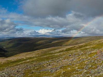 Tundra og regnbue