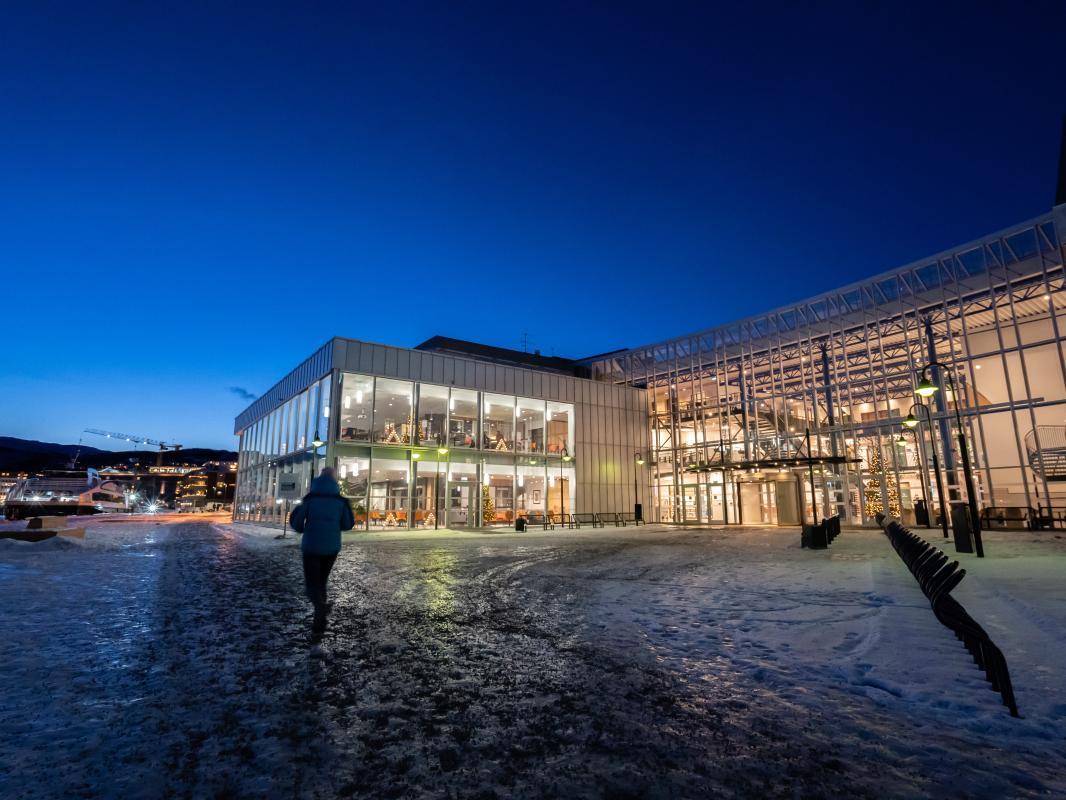 UiT Norges arktiske universitet (her representert ved campus Harstad) har søkt om totalt 1, 192 millioner kroner til Forskerprosjekter. 