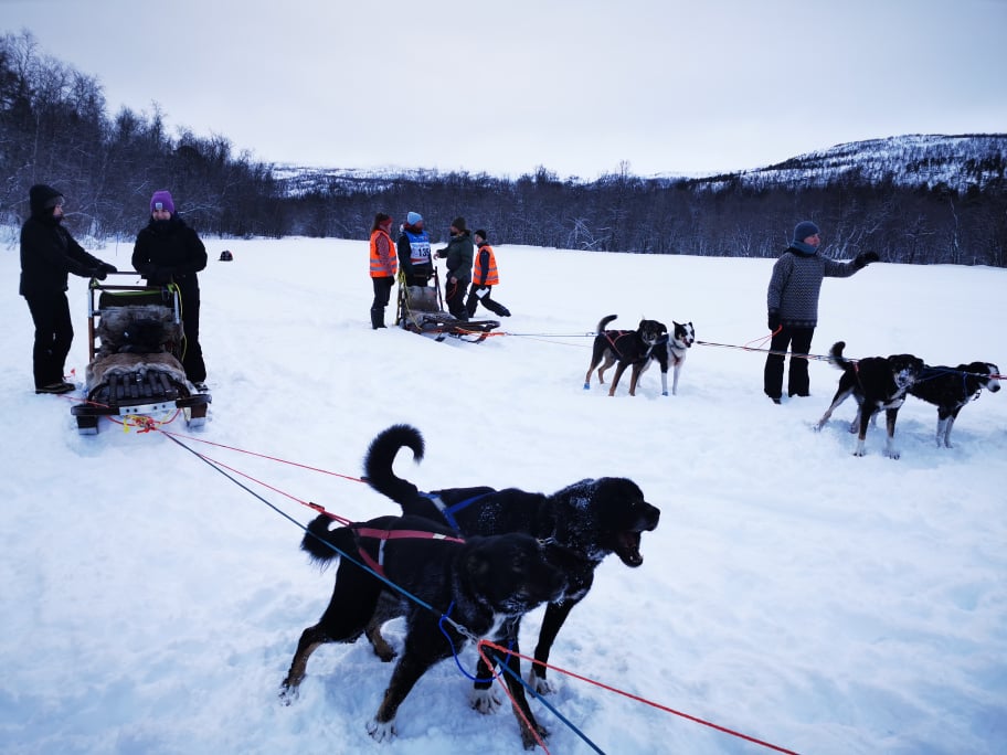 hundekjøring sjekkpunkt Finnmarksløpet