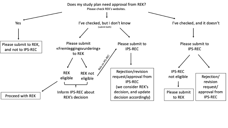 This flowchart illustrates the process of applying for ethical approval from REK and the IPS committee.