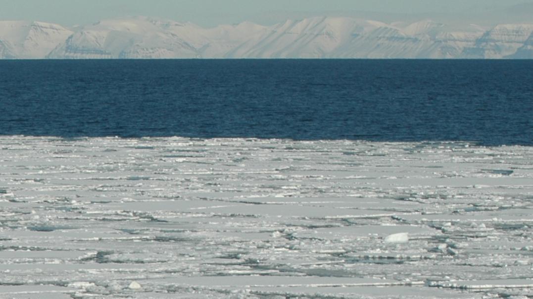 Ice in Svalbard