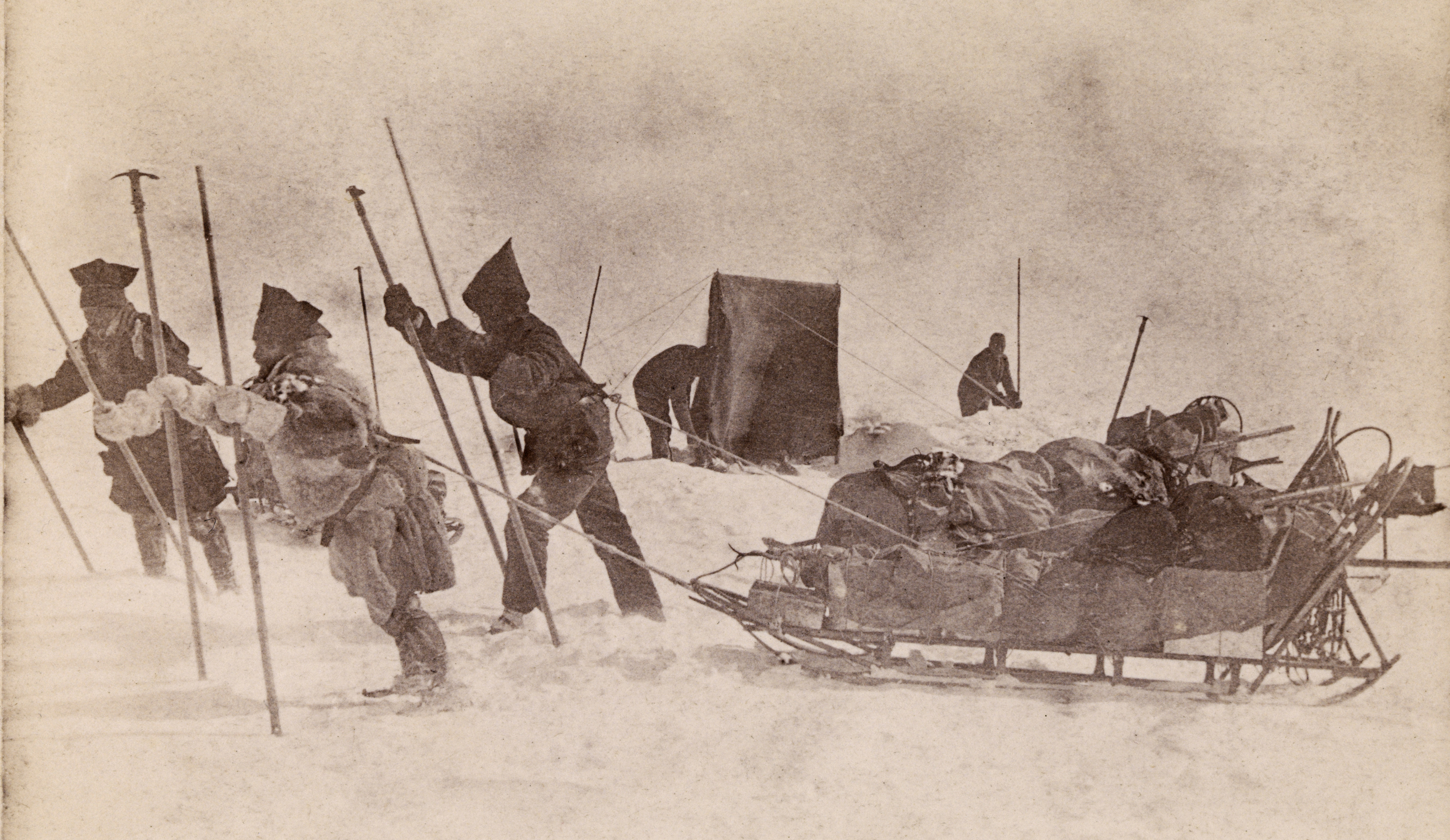 Oppbrudd fra leiren. Samuel Balto, Ole Ravna og Otto Sverdrup st&aring;r klare til avmarsj med kjelkene spent til kroppen med tau. Gr&oslash;nland, 1888.
