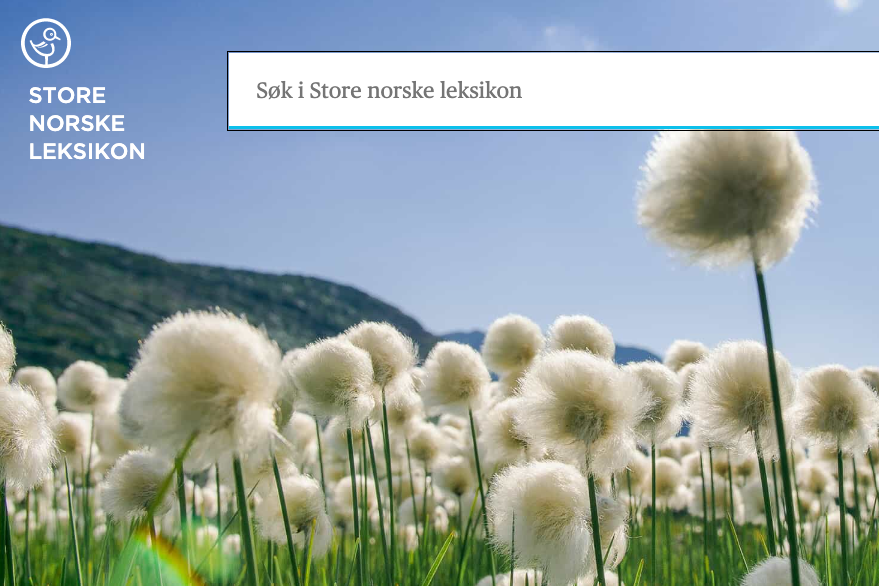 Myrull p&aring; nettsiden til Store norske leksikon