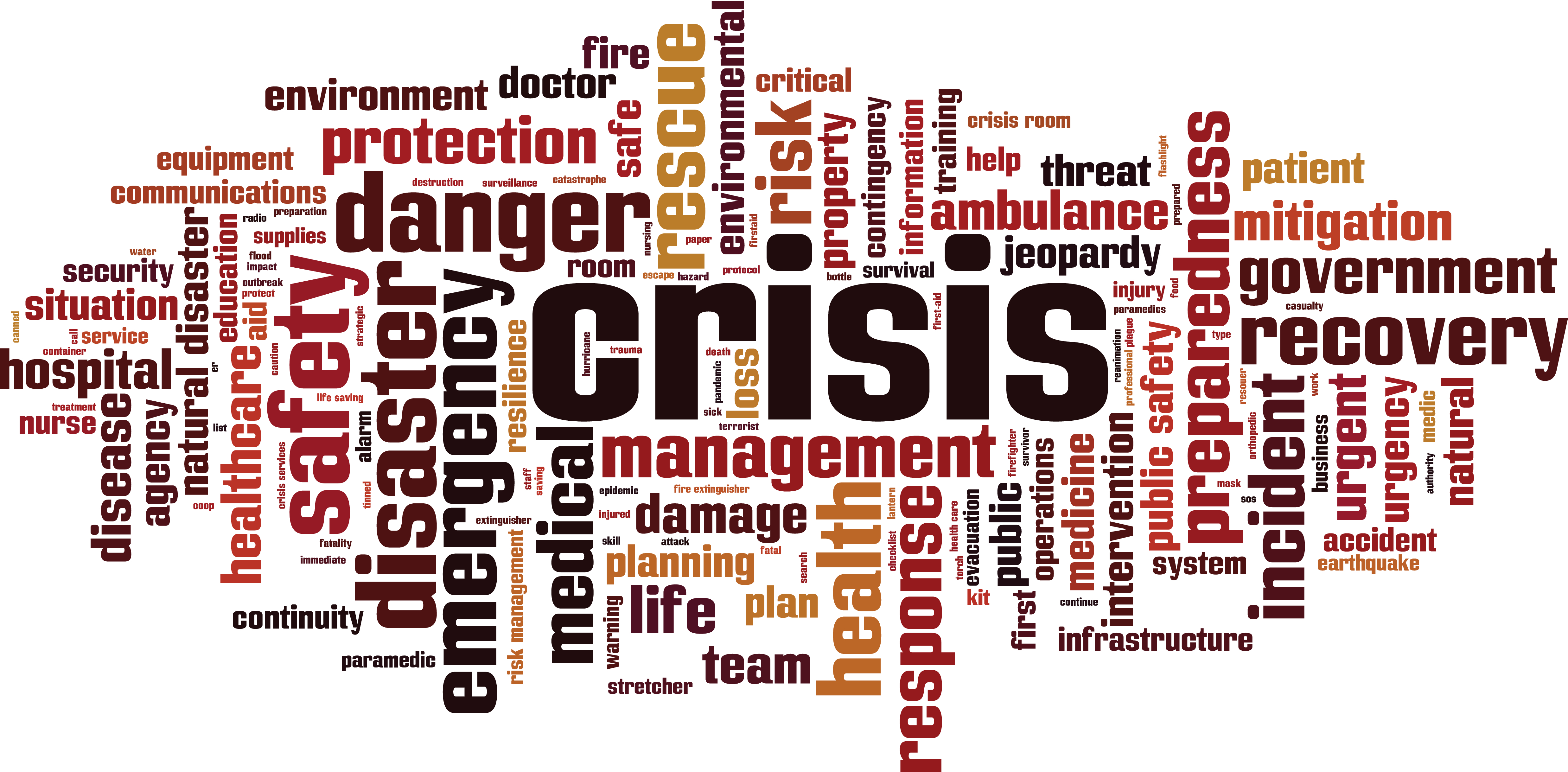 Contemporary Issues in Risk and Crisis Management - master