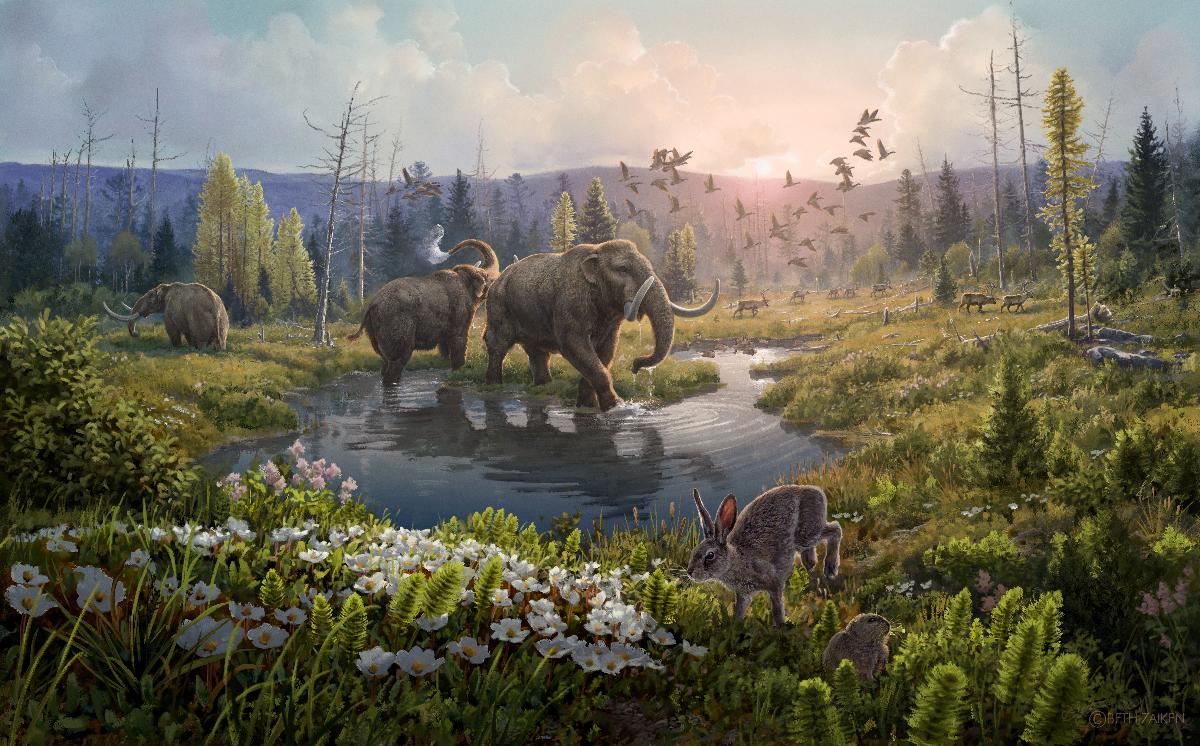illustrasjon av 2 millioner år gammelt økosystem med grønne planter, mastodonter, reinsdyr og hare.