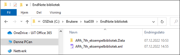 Anbefalt lagringssted for EndNote-bibliotek på Windows-maskin
