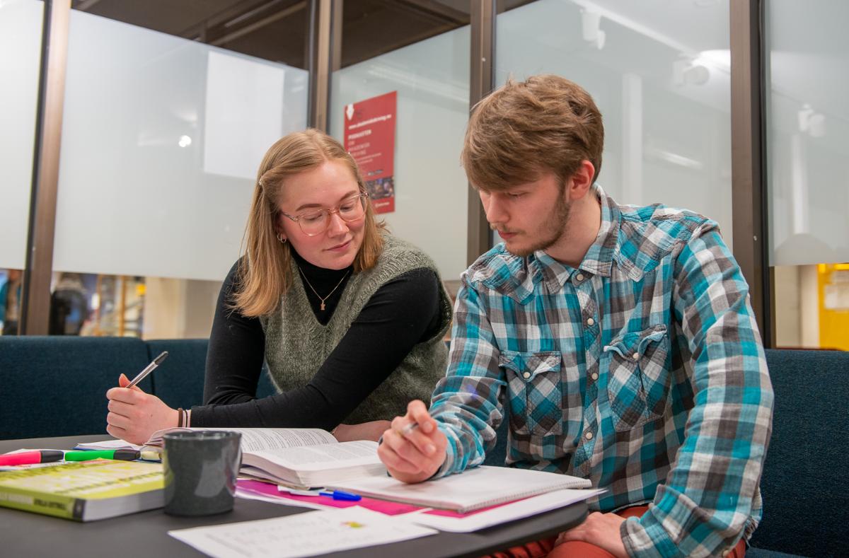 VELKOMMEN TIL HARSTAD visual data 5