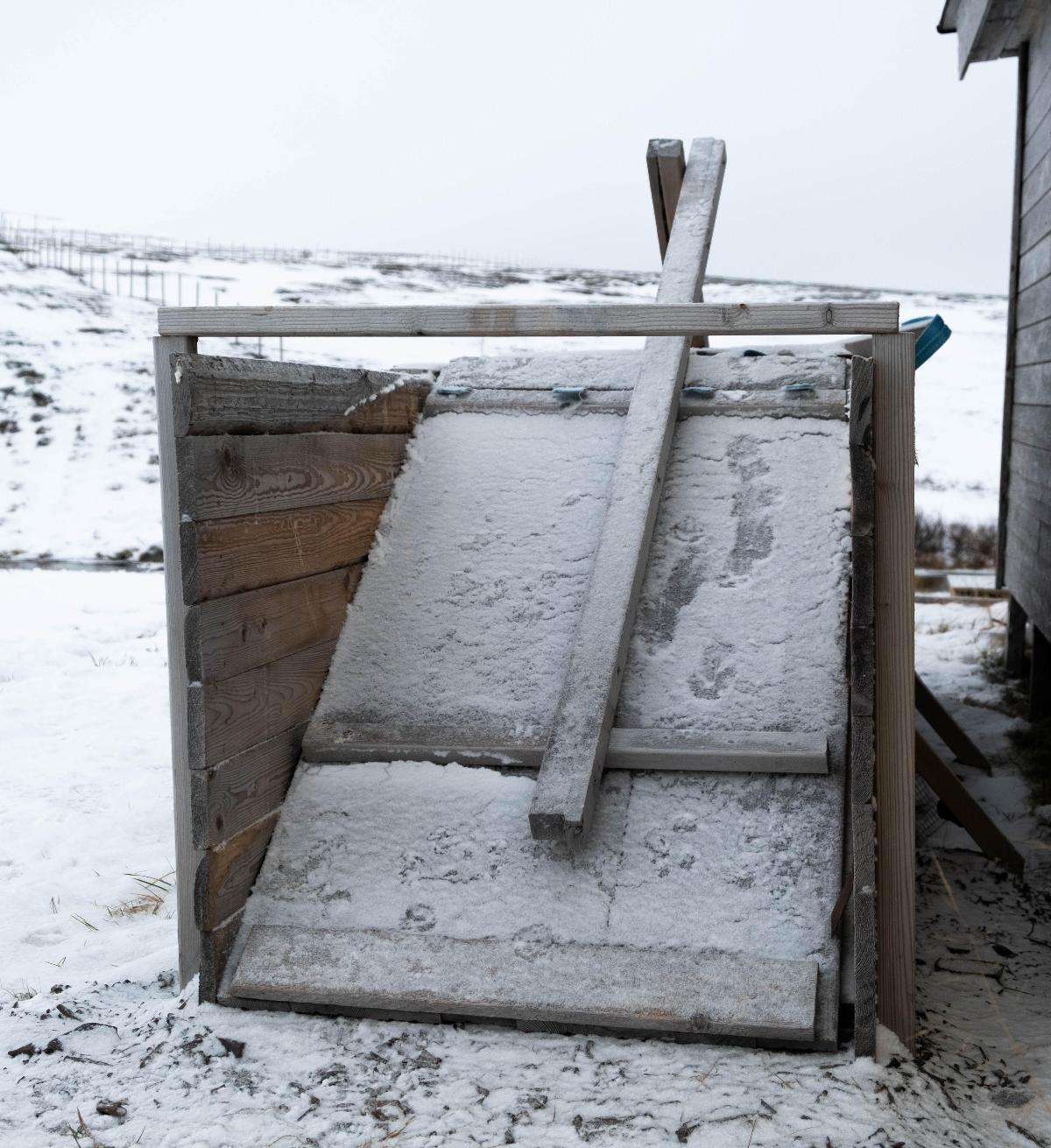 Stor revefelle i tre, dekket av nysnø