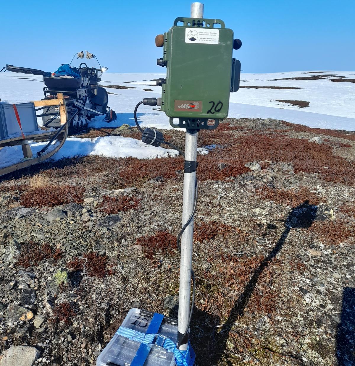 Stor revefelle i tre, dekket av nysnø