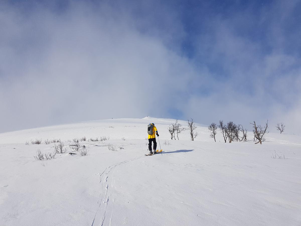 En skiløper på vei oppover et snødekt fjell