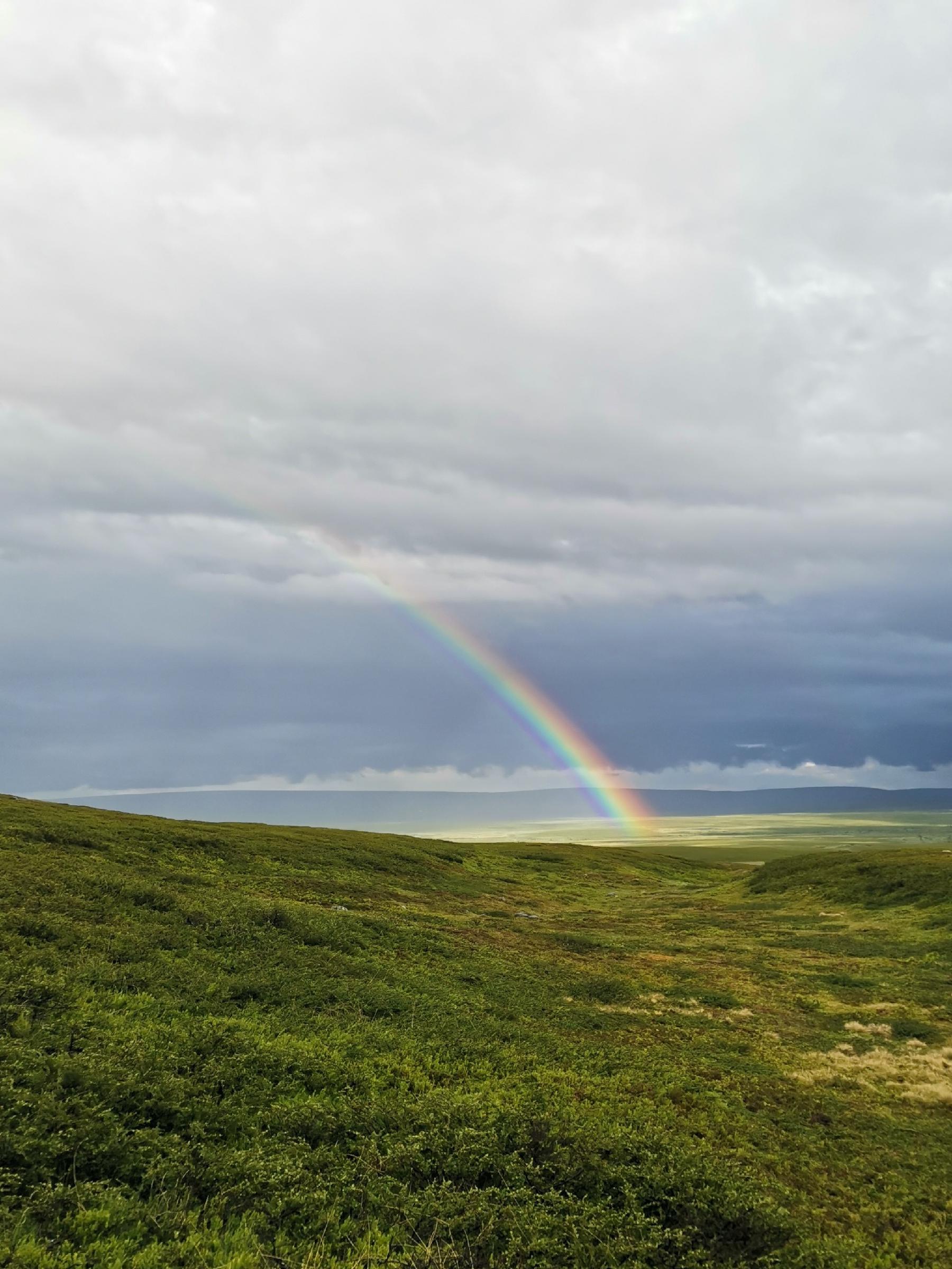 Høstbilde av fjell og artisk natur