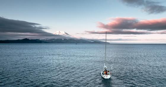 Illustrasjonsbilde for POLAR VIN OG VITEN: HAULOUT + TALES OF JAN MAYEN
