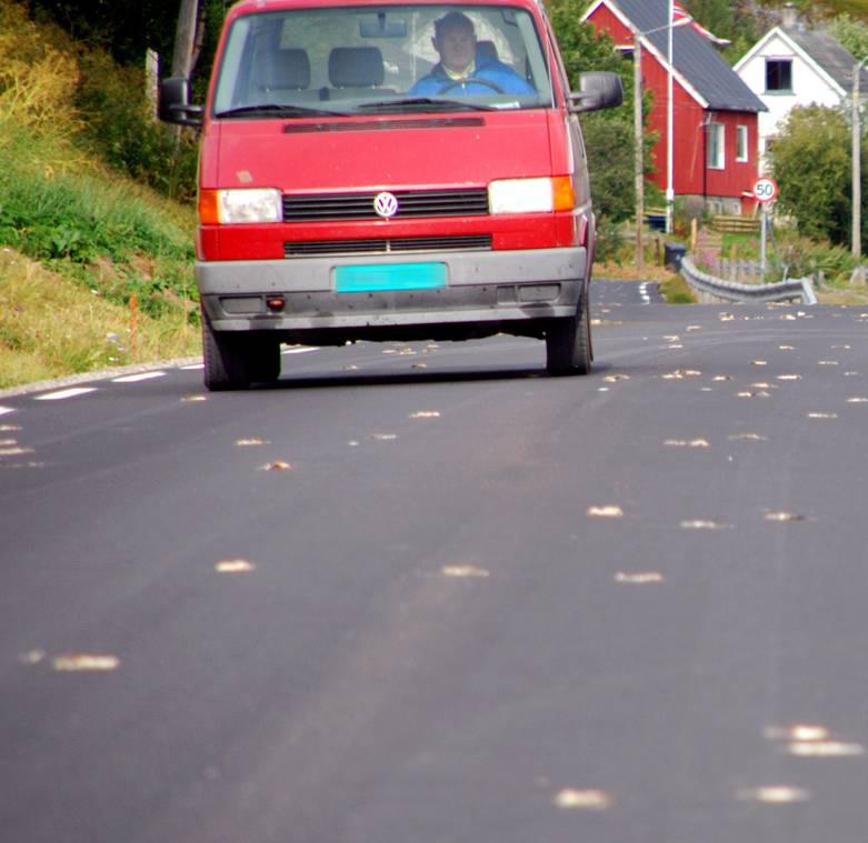 3 elg står på vidda