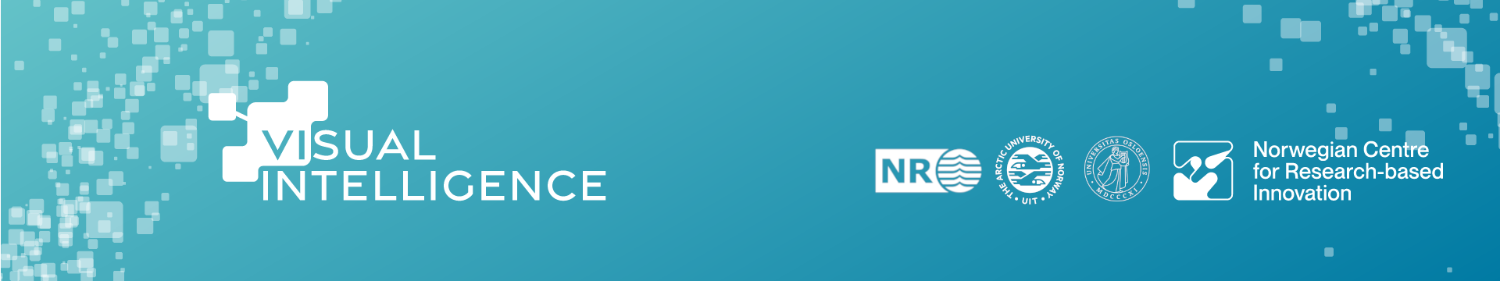 Illustrasjons-/bannerbilde for Visual Intelligence Seminar: More than meets the eye: Validation in automated image analysis