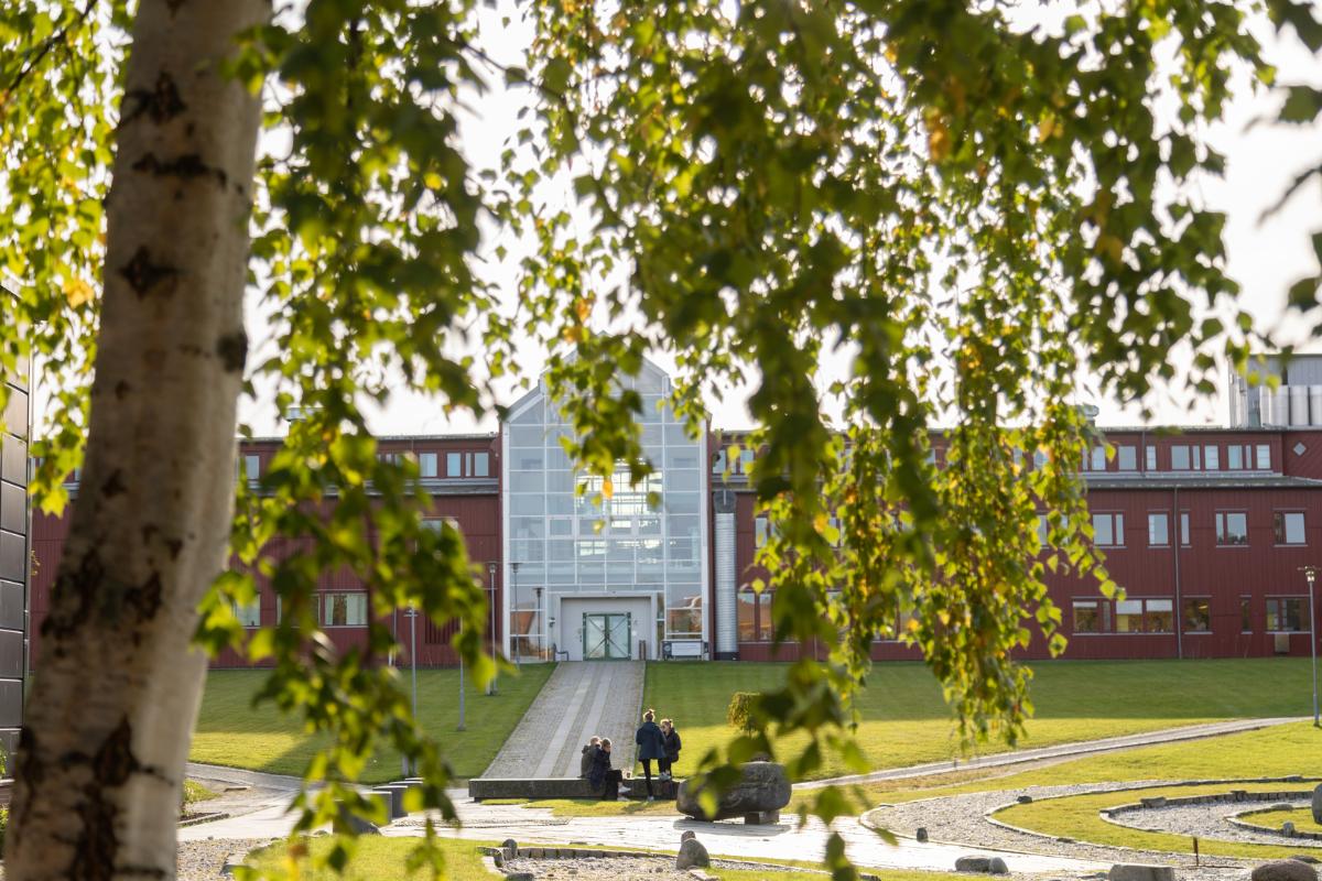 Administrasjonsbygget ved UiT campus Tromsø med blader fra et tre rundt.