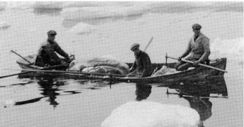 Polstjernas fangstbåt under fangsttur i isen