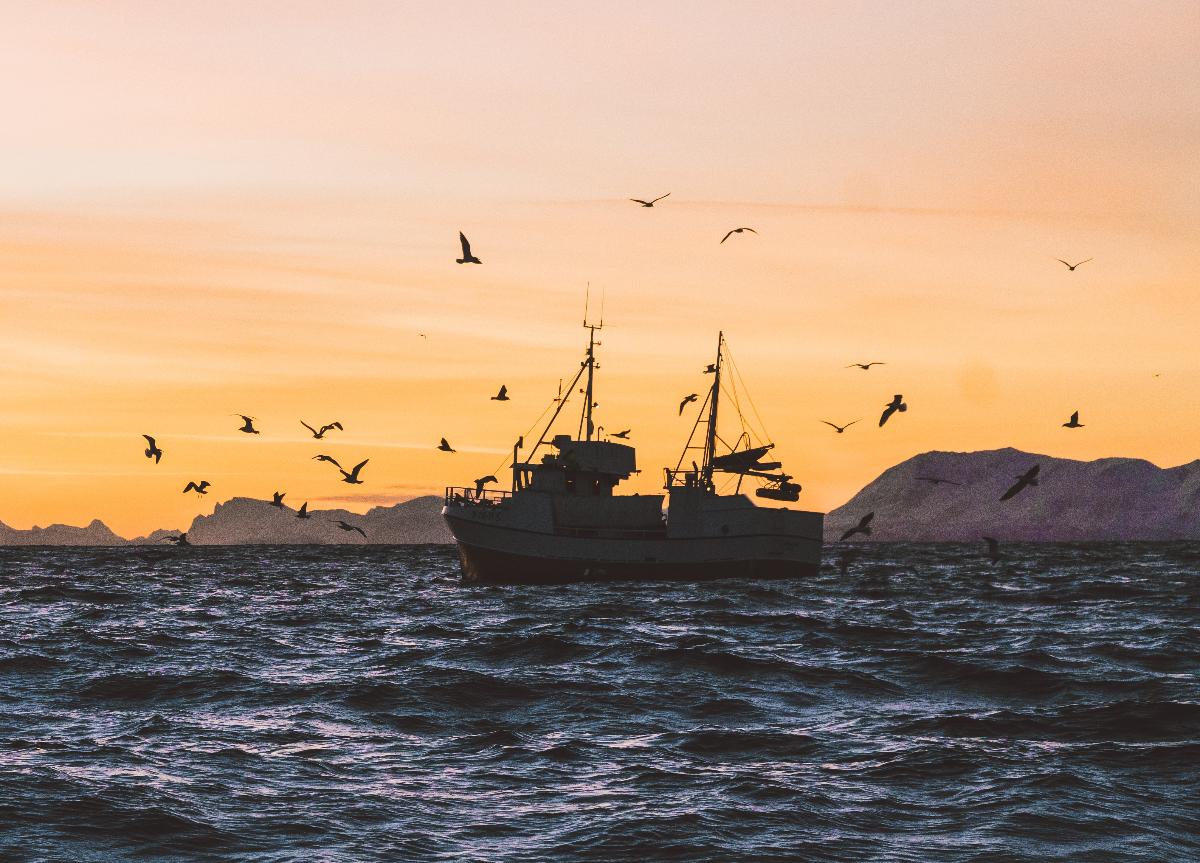 fiskebåt på havet i solnedgang