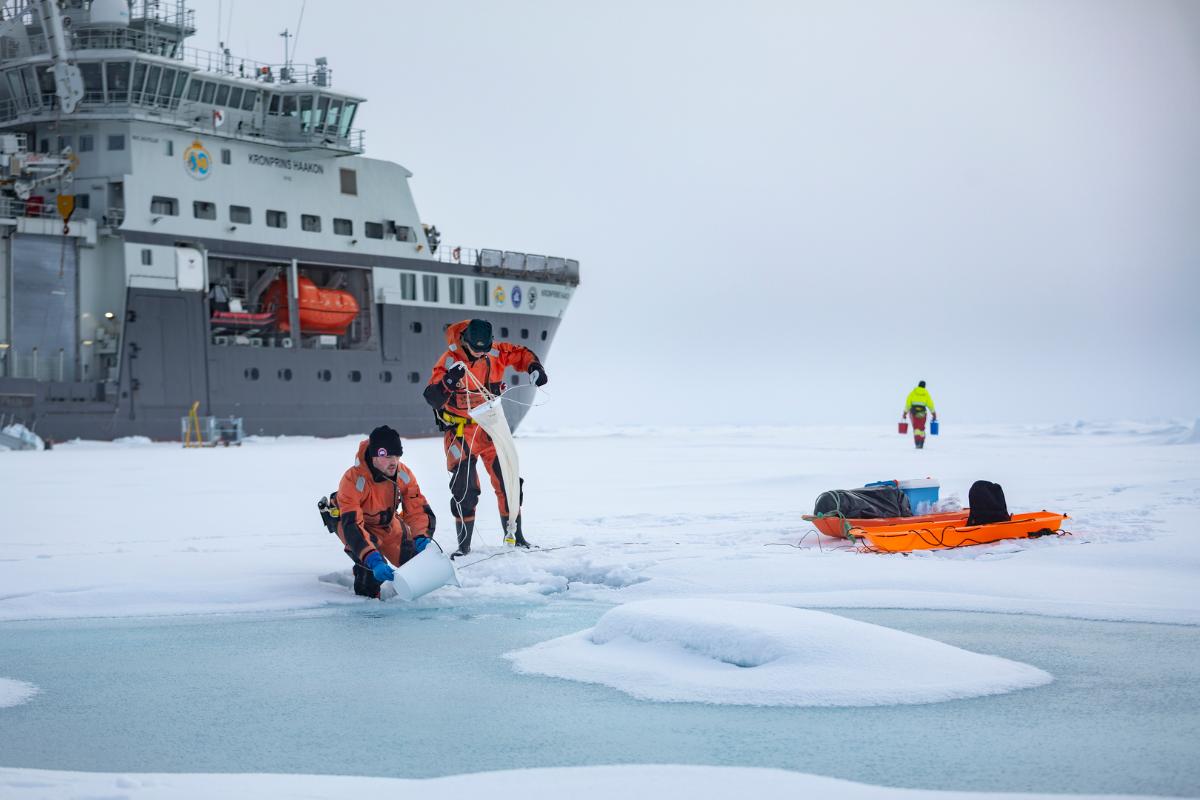 Mennesker står på havisen foran stort skip