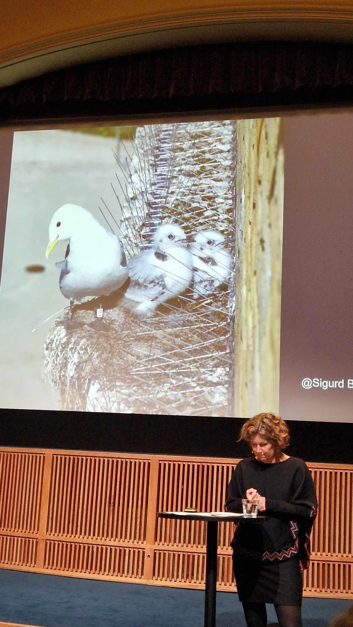 DELER KUNNSKAP: Forsker Anniken Førde er en av forskerne i FUGLAN VEIT. De gir fuglene en stemme gjennom kunnskapsformidling. Her holder hun et innlegg på Planmøte for stedsutvikling. Foto: Jonas Bjørklund. 