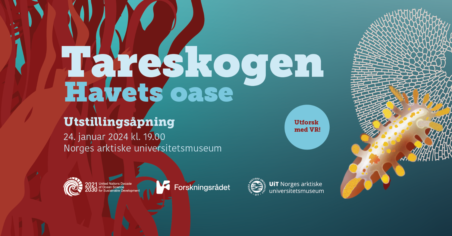 Illustrasjons-/bannerbilde for Utstillingsåpning: Tareskogen // Exhibition opening: The kelp forest 