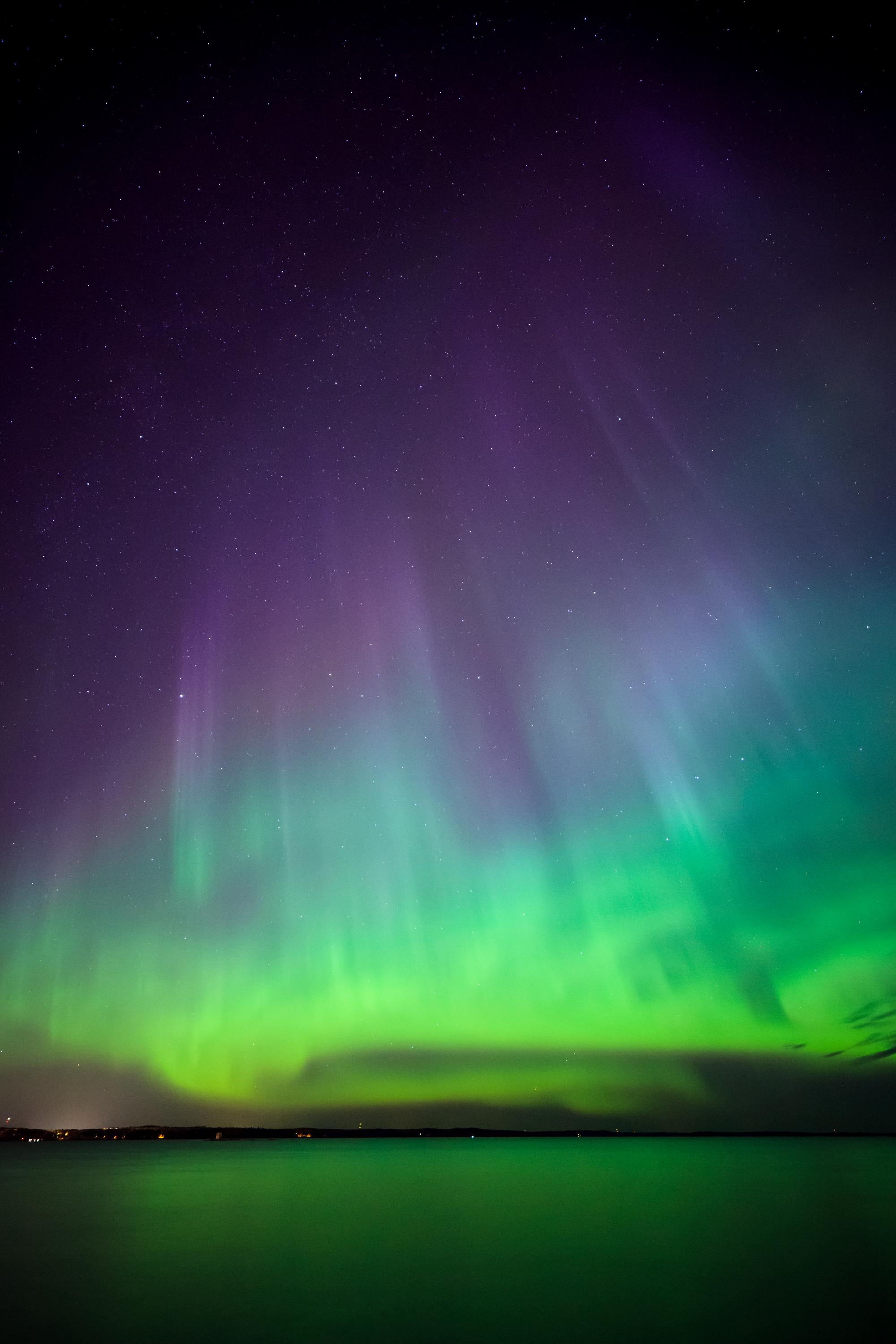 Illustrasjons-/bannerbilde for Troms&oslash; Educational Film Festival (TREFF) p&aring;melding for ansatte (Frist 05.mars)