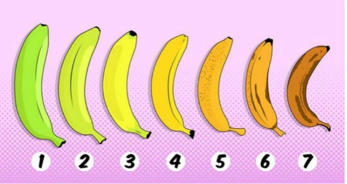 ulike modningsgrader av banan fra grønn til brun