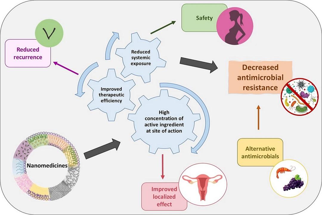Ž. Vanić, M. W. Jøraholmen and N. Škalko-Basnet (2021) Nanomedicines for the topical treatment of vulvovaginal infections: addressing the challenges of antimicrobial resistance, Advanced Drug Delivery Reviews 178, 113855. special issue Advances in Drug Delivery for Women’s Health. https://doi.org/10.1016/j.addr.2021.113855. invited review