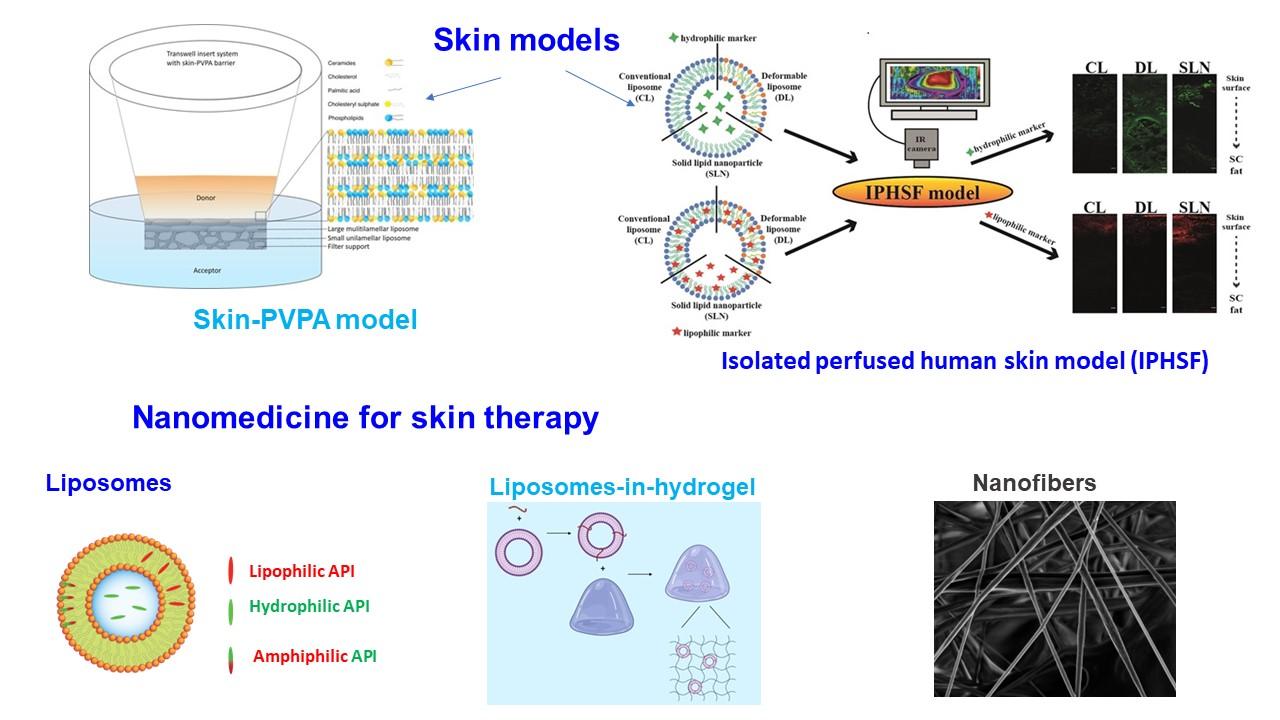 Summary of approaches used to delivery efficient localized therapy of skin disorders