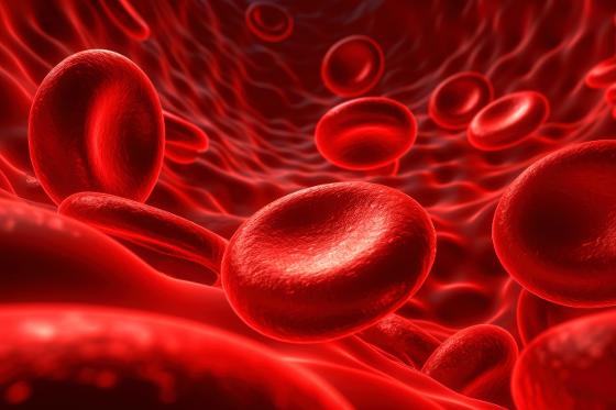 61692108-red-blood-cells-in-vein-3d-renderingscience-background.jpg