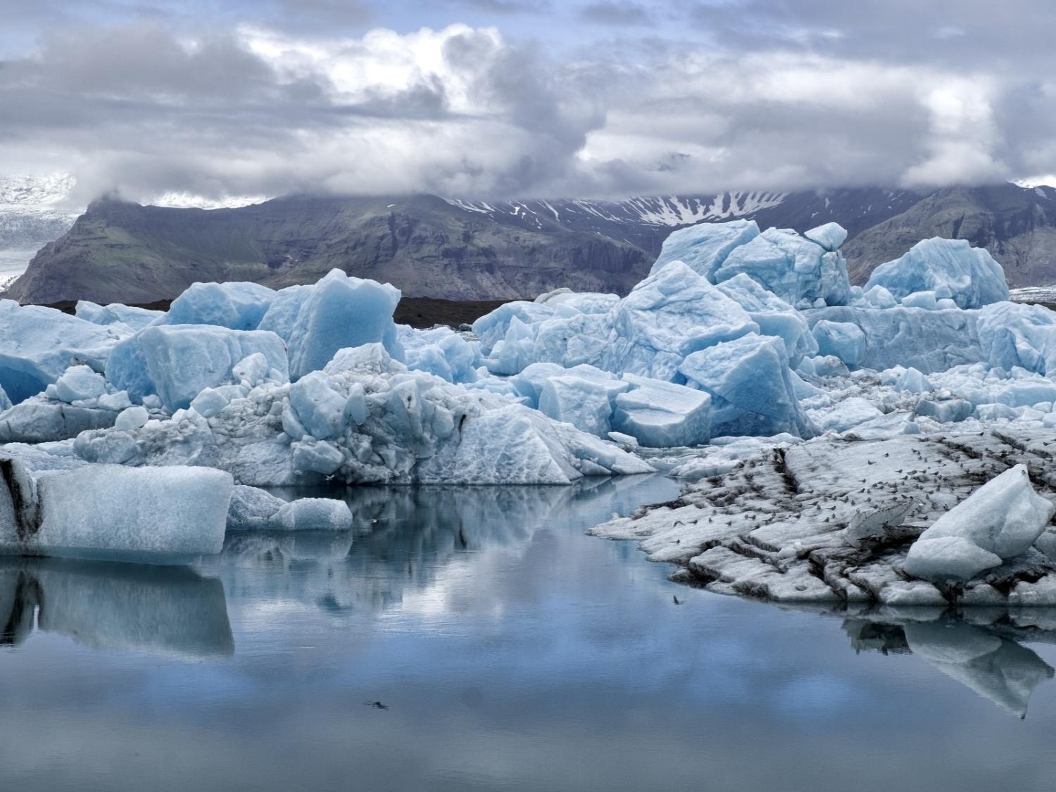 Illustrasjons-/bannerbilde for Debatt: helhetlige l&oslash;sninger for helseutfordringer i Europa og Arktis / Debate: Solutions for One Health Issues in Europe and the Arctic