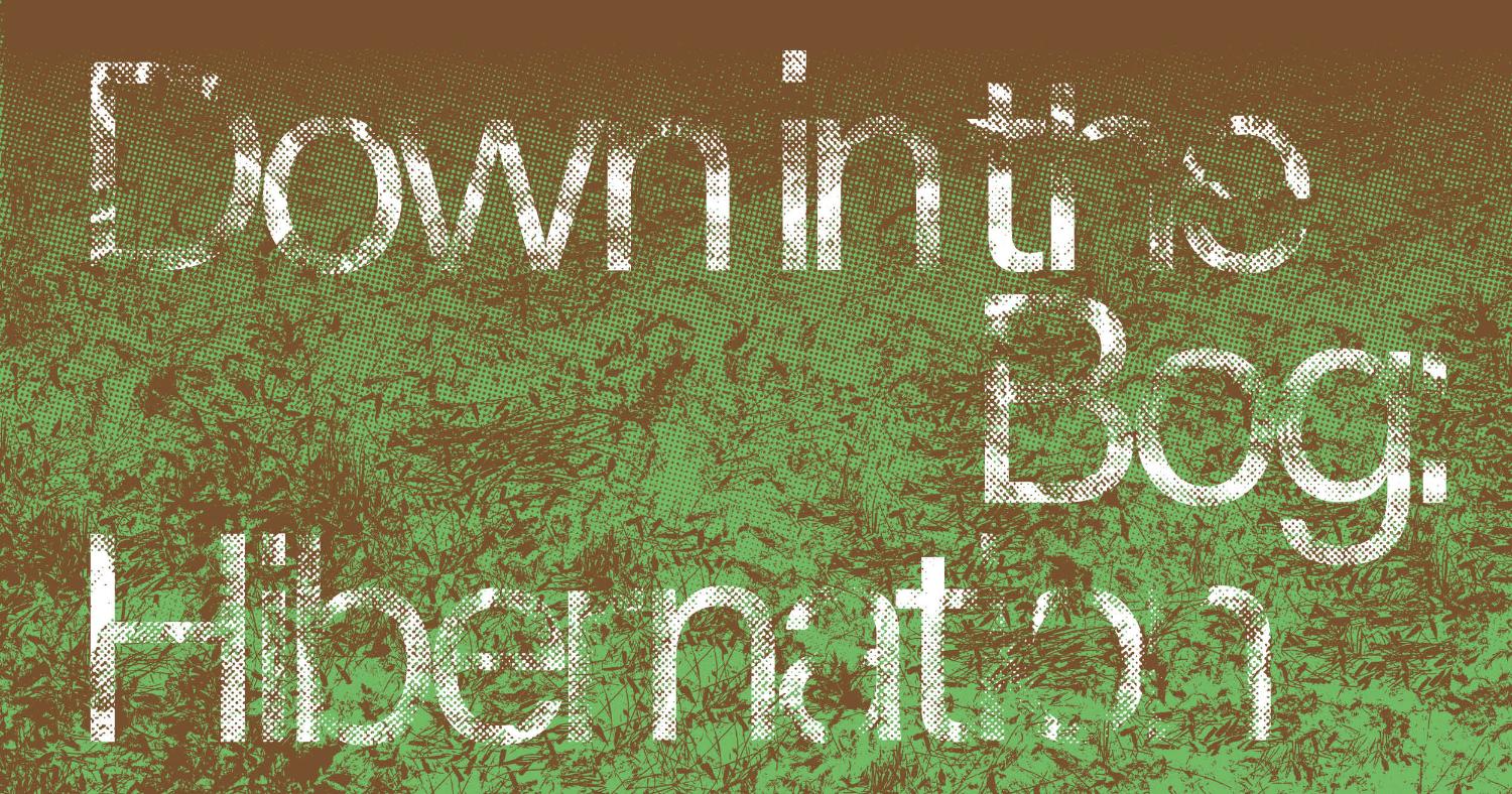 Illustrasjons-/bannerbilde for Welcome to the opening of the exhibition "Down in the Bog: Hibernation"