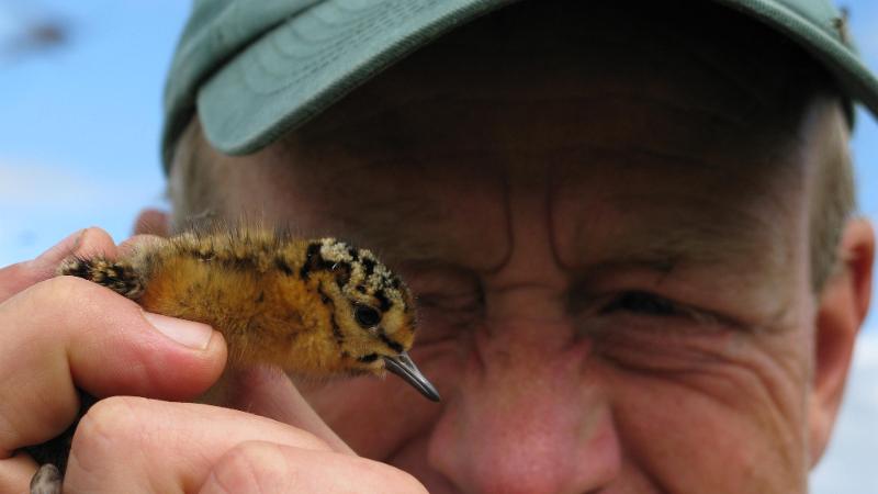 a man holding a small bird chick, photo up close