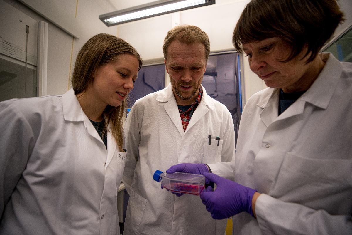 To kvinner og ein mann er kledde i labfrakkar og ser på raud veske i ei plastflaske