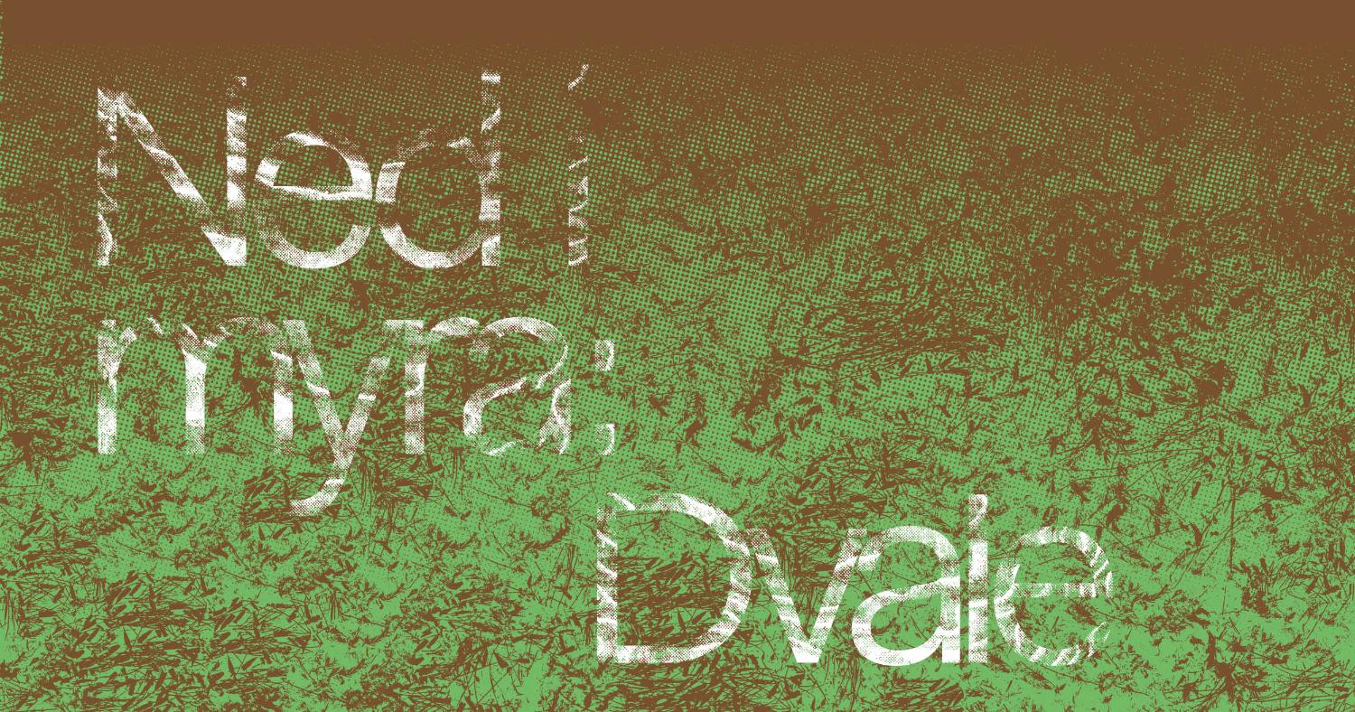 Illustrasjons-/bannerbilde for Omvisning i utstillingen Ned i Myra: Dvale / Guided exhibition tour