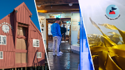 Bilde Åpen dag på Polarmuseet | Kystdagen under Sjømatfest 2024 