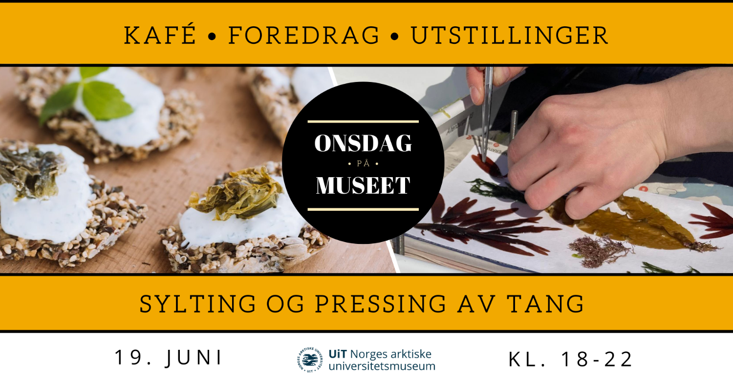 Illustrasjons-/bannerbilde for Ting om tang! Sylting, pressing, foredrag mm. på "Onsdag på museet"