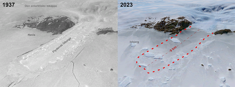 Honnørbrygga bre i Lützow-Holm Bay i 1937 sammenlignet med et moderne Landsat satellittbilde fra 2023. Den ni kilometer lange flytende istungen, som ses på bildet fra 1937, forsvant på slutten av 1950-årene og har ikke vokst ut igjen, noe som skyldes at havisen er svekket. 