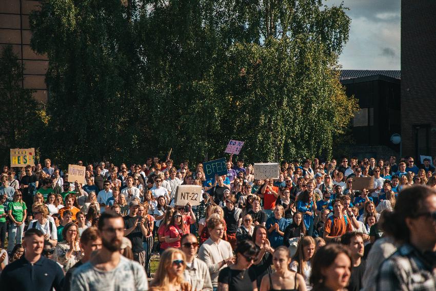 Unge mennesker som står ute i solskinnet foran et stort tre.