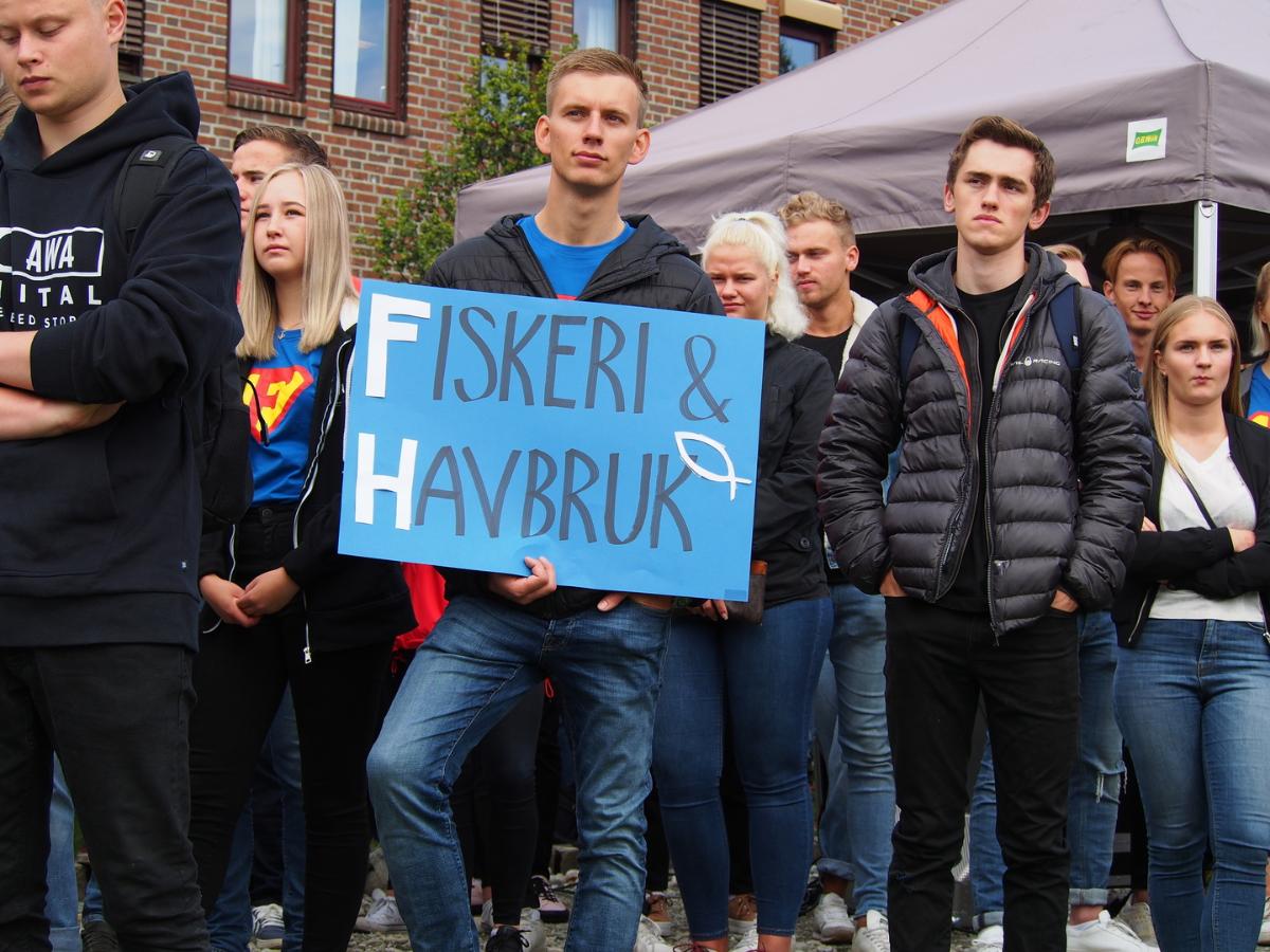 Bilde til nyhetssak