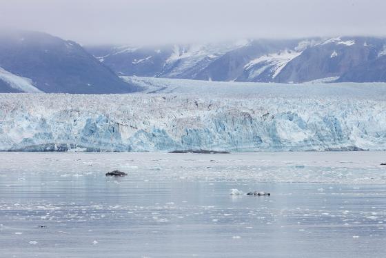 mp29802277-glacier-flowing-into-lake-in-alaska-usa.jpg